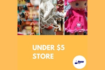 Under $5 Dollar Store